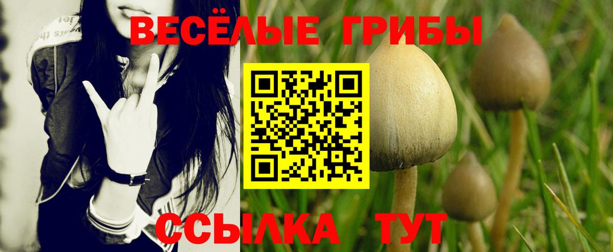 Псилоцибиновые грибы мухоморы  Вход с VPN  Баксан  Галлюциногенные грибы Psilocybine cubensis 